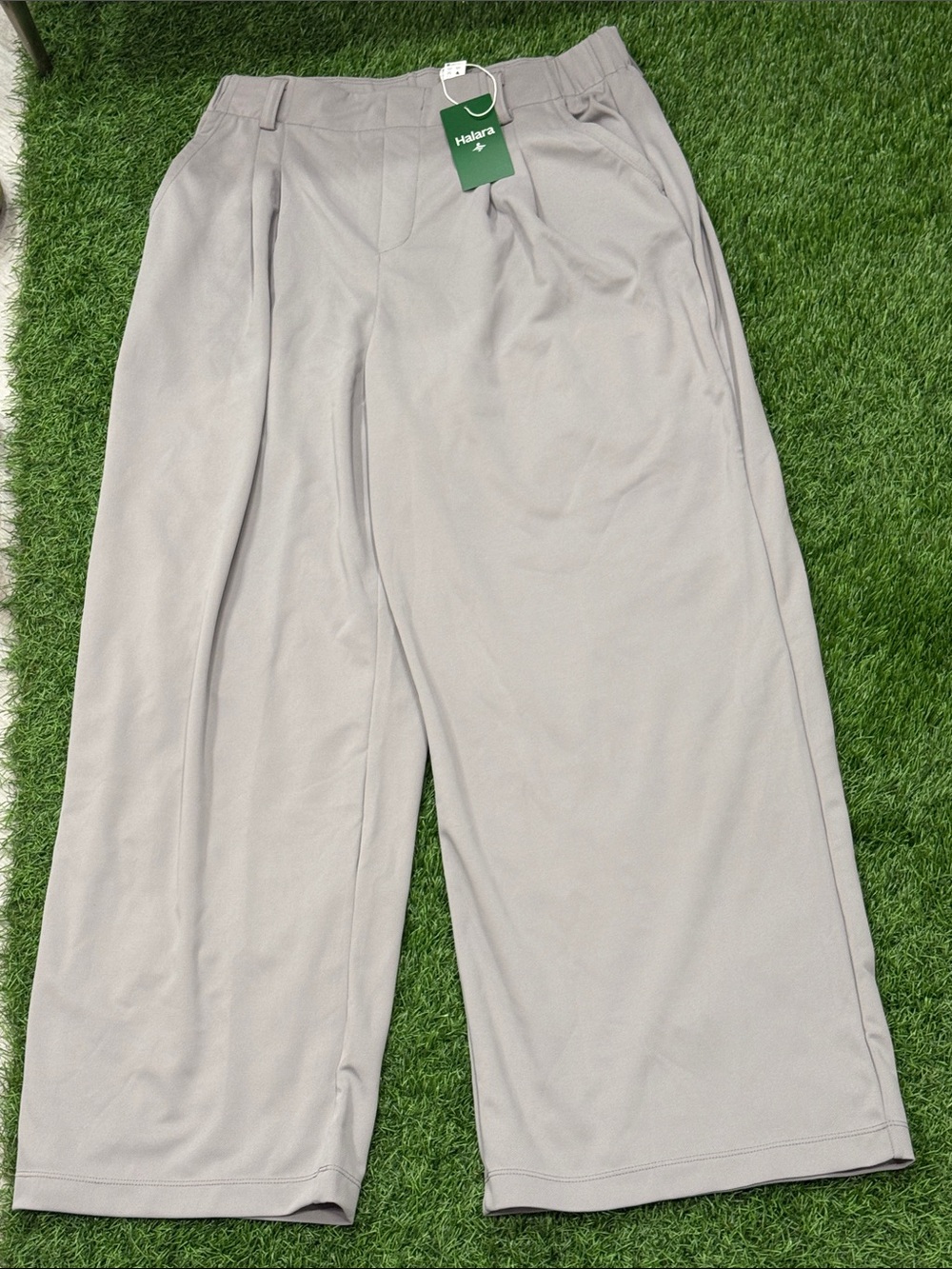 HALARA Light Gray Wide-Leg Pleated Chinos